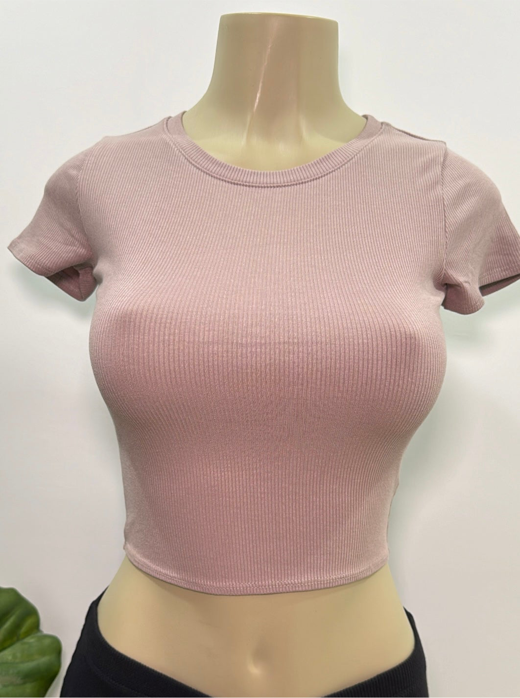 Ruby Basic Tee Top