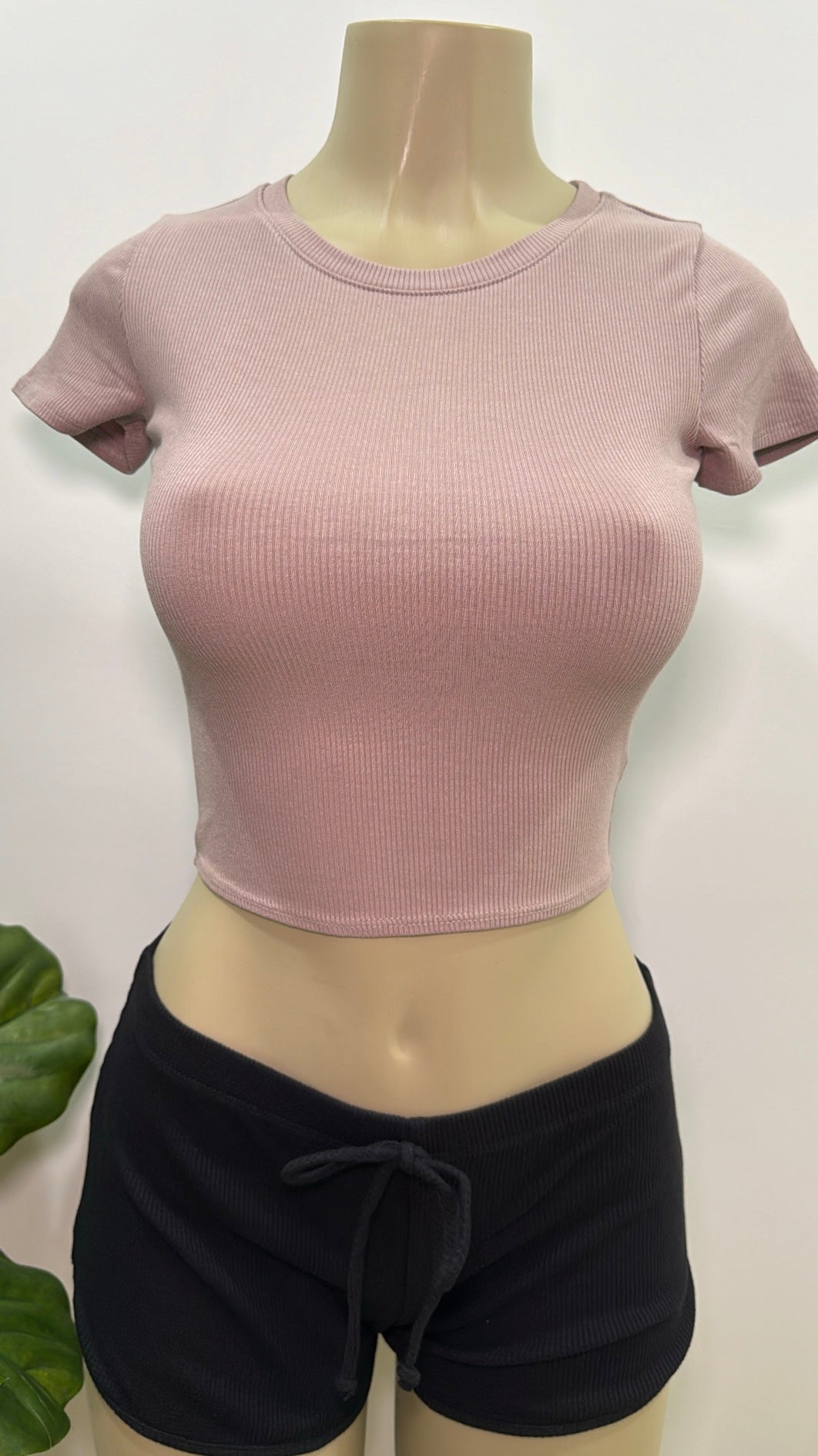 Ruby Basic Tee Top