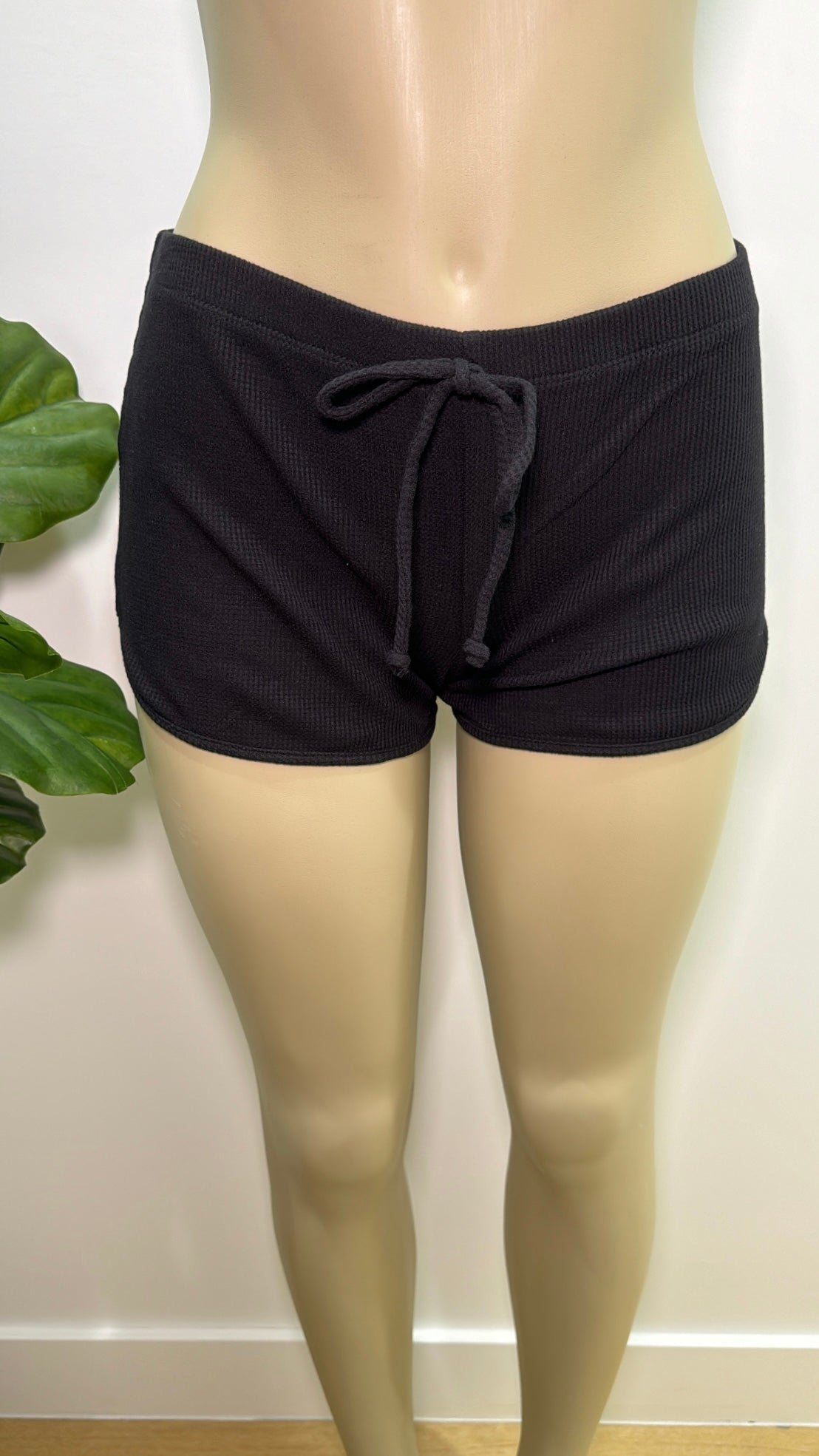 Sierra Basic Shorts