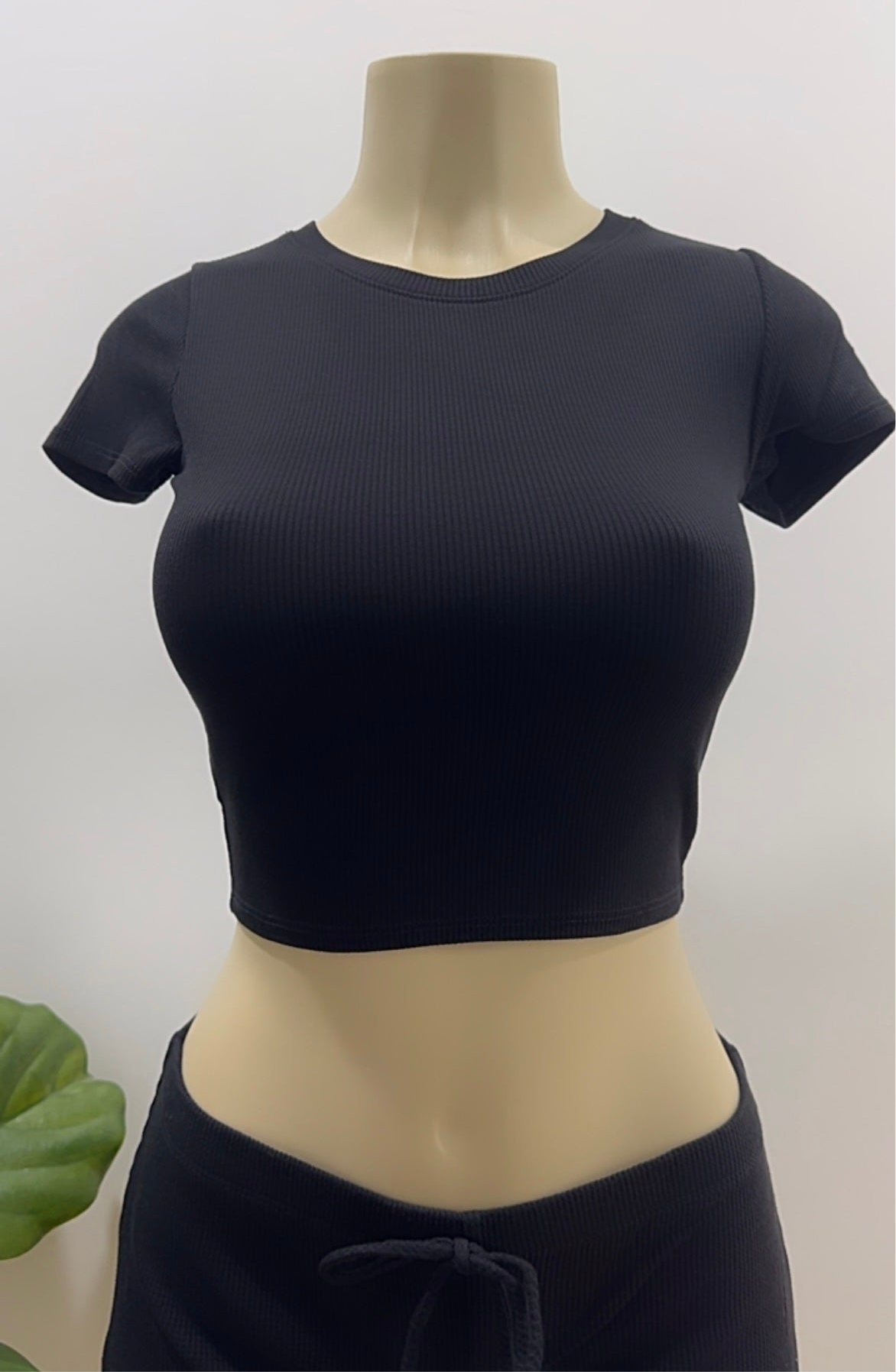 Ruby Basic Tee Top