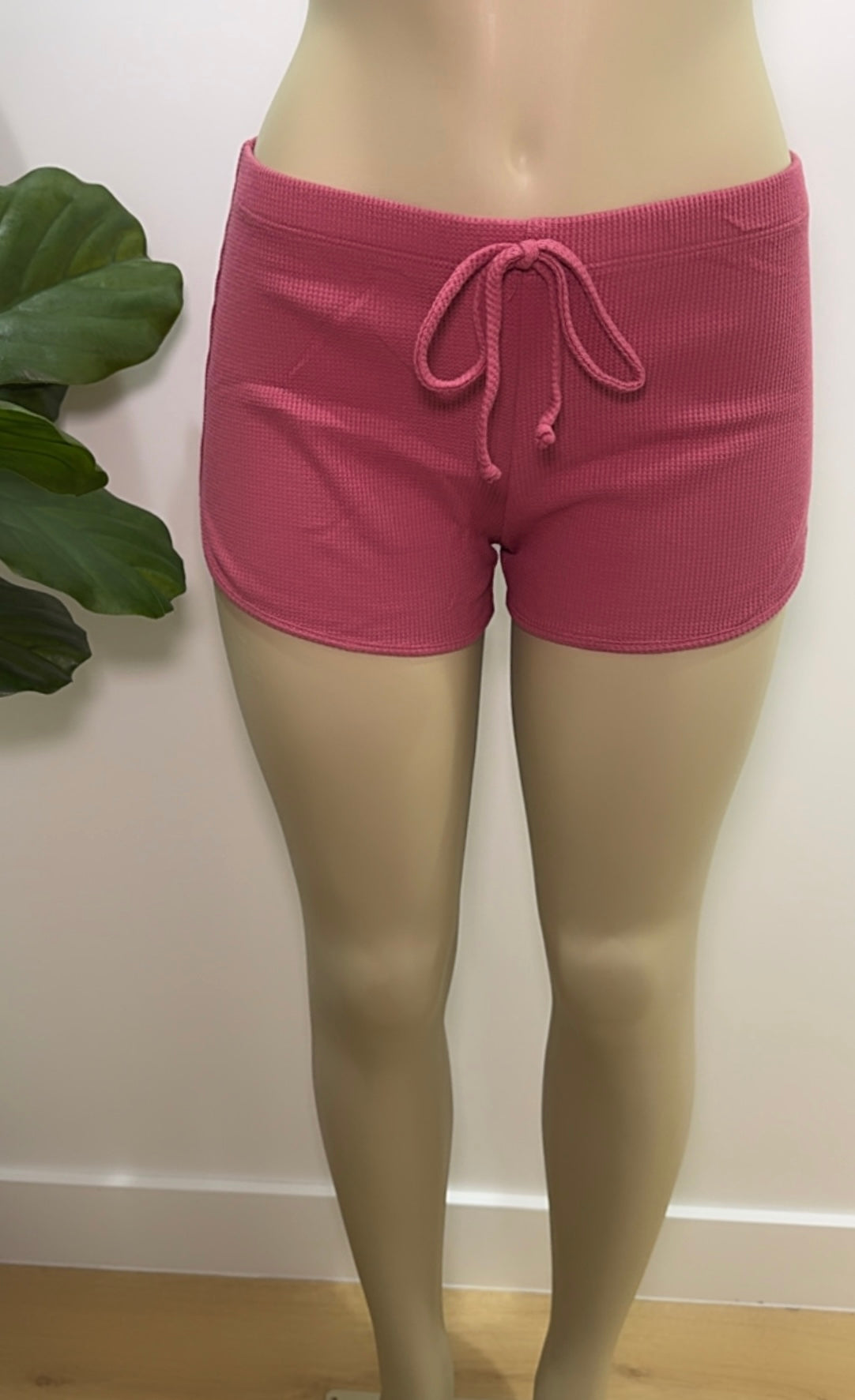 Sierra Basic Shorts