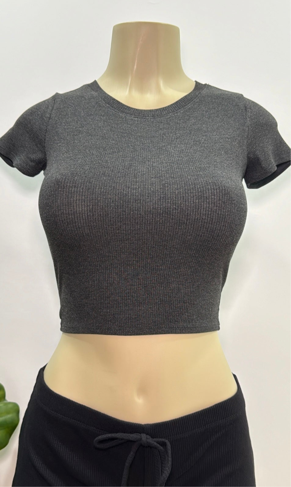 Ruby Basic Tee Top