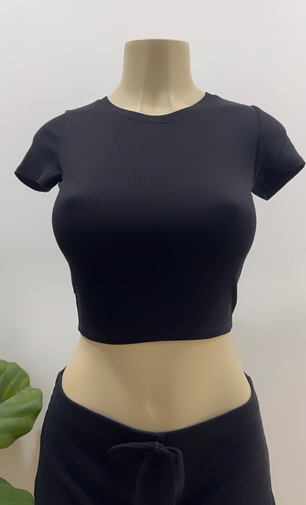 Ruby Basic Tee Top