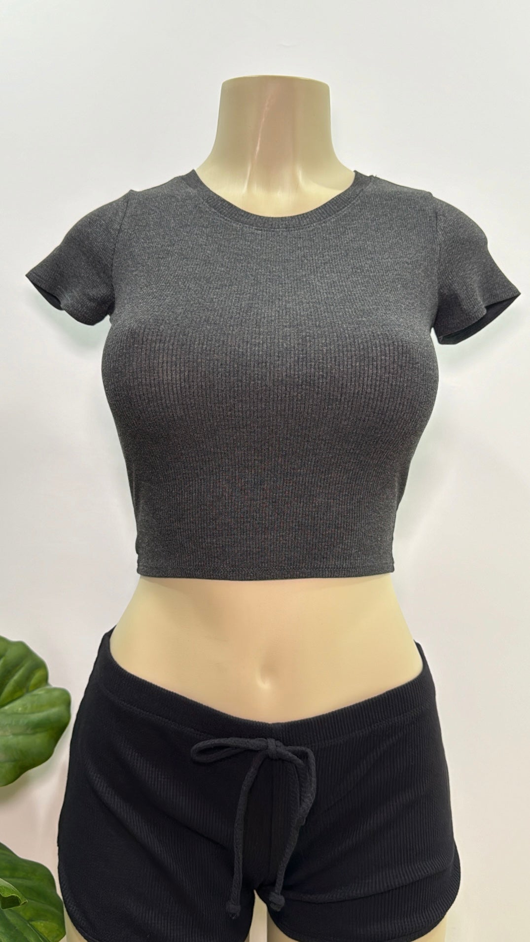 Ruby Basic Tee Top