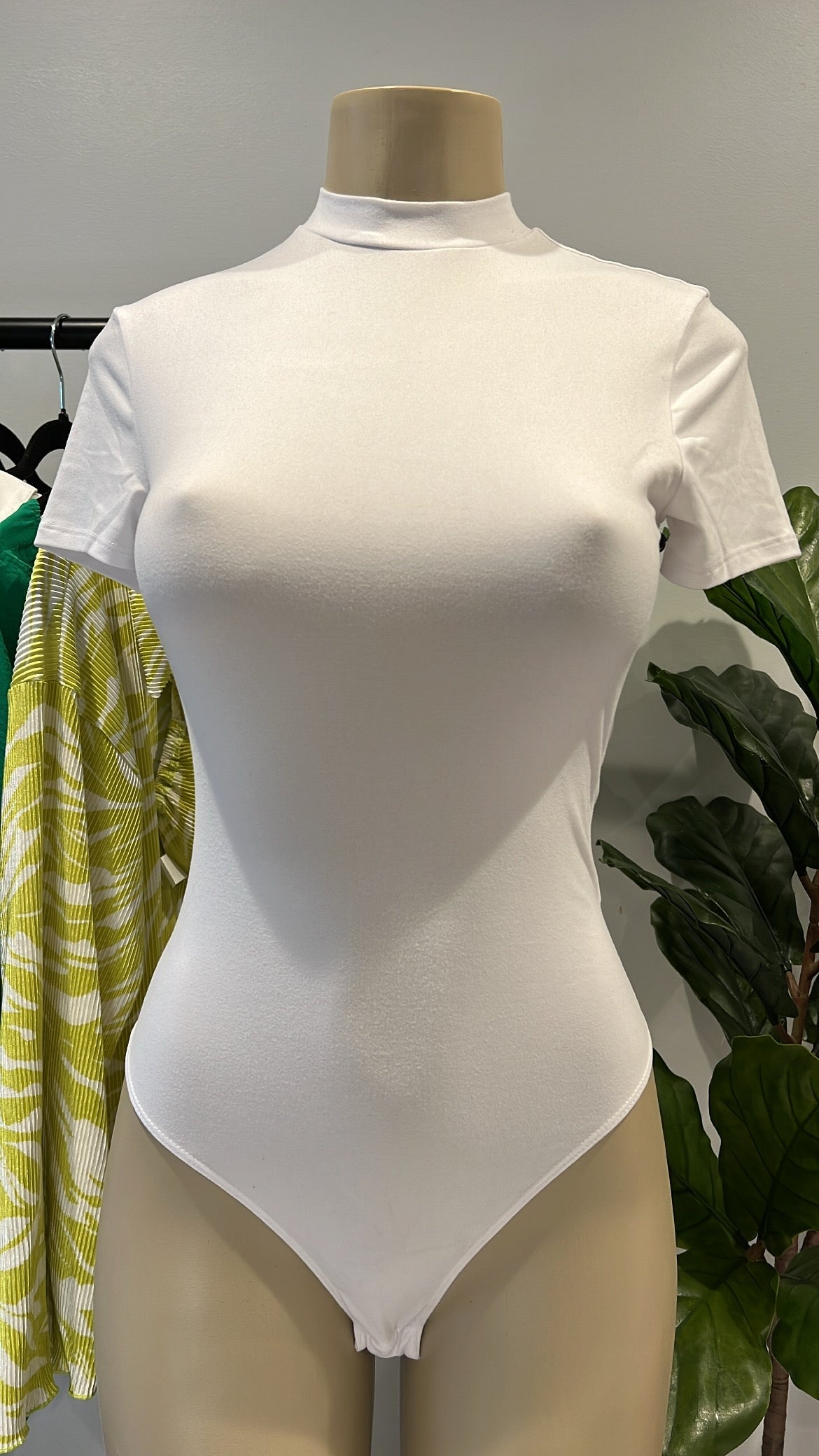 Camilia Basic Bodysuit
